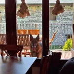 Feriehus El Balcon De Cotefablo De Montana Con Jardin Y Vistas - Arafita *